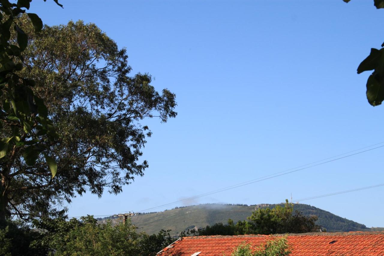 Apartamento Rural Zuri Cotorrio Buitenkant foto