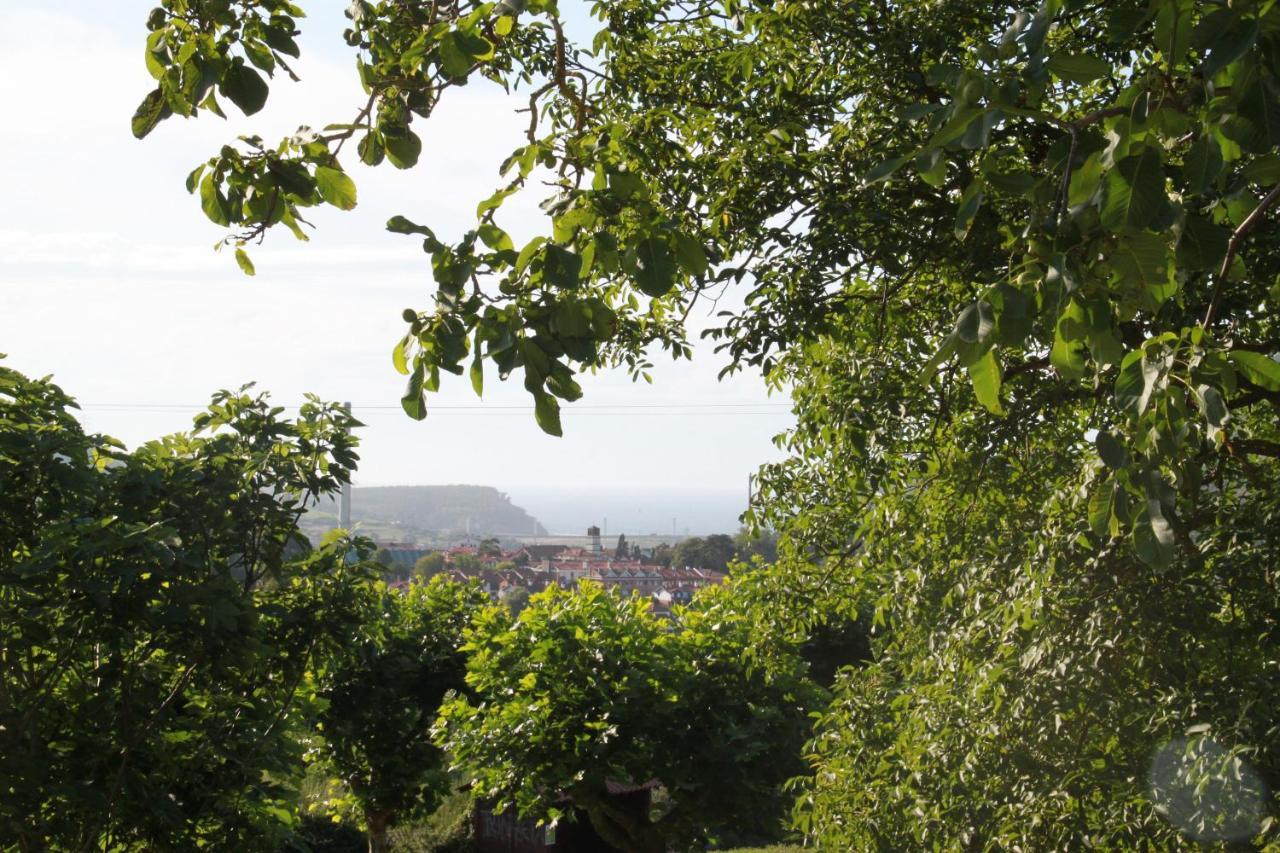 Apartamento Rural Zuri Cotorrio Buitenkant foto