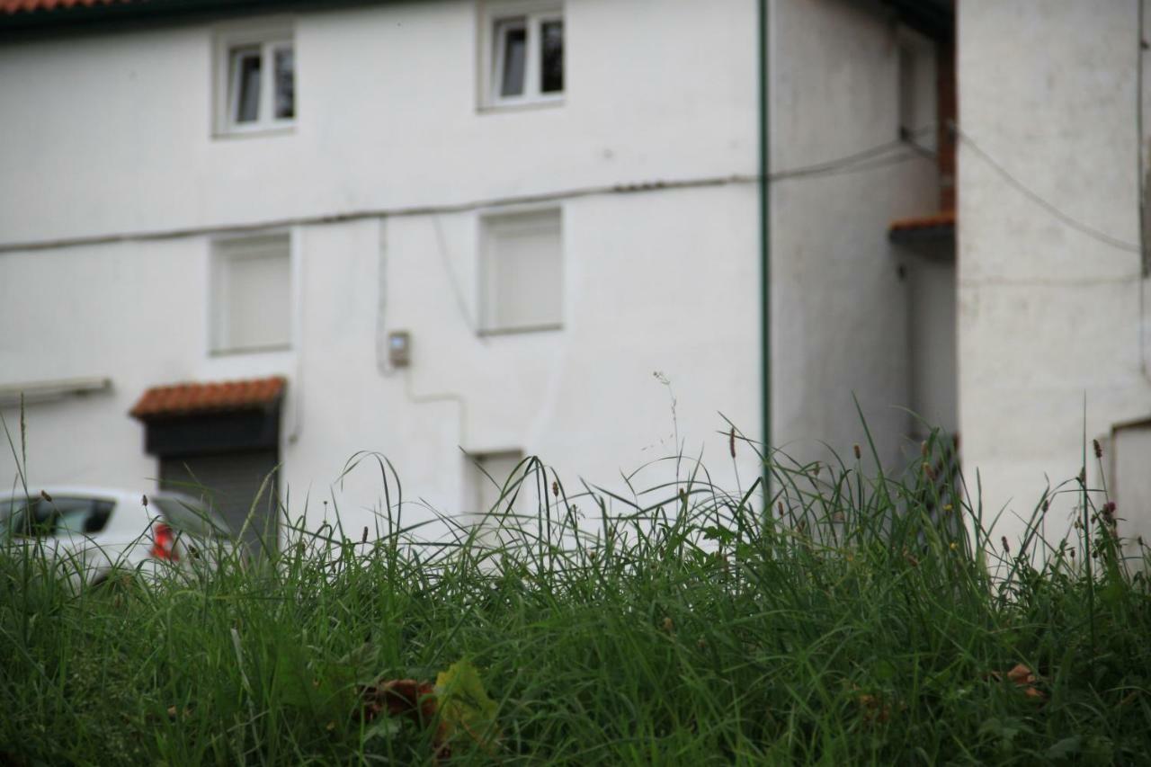 Apartamento Rural Zuri Cotorrio Buitenkant foto